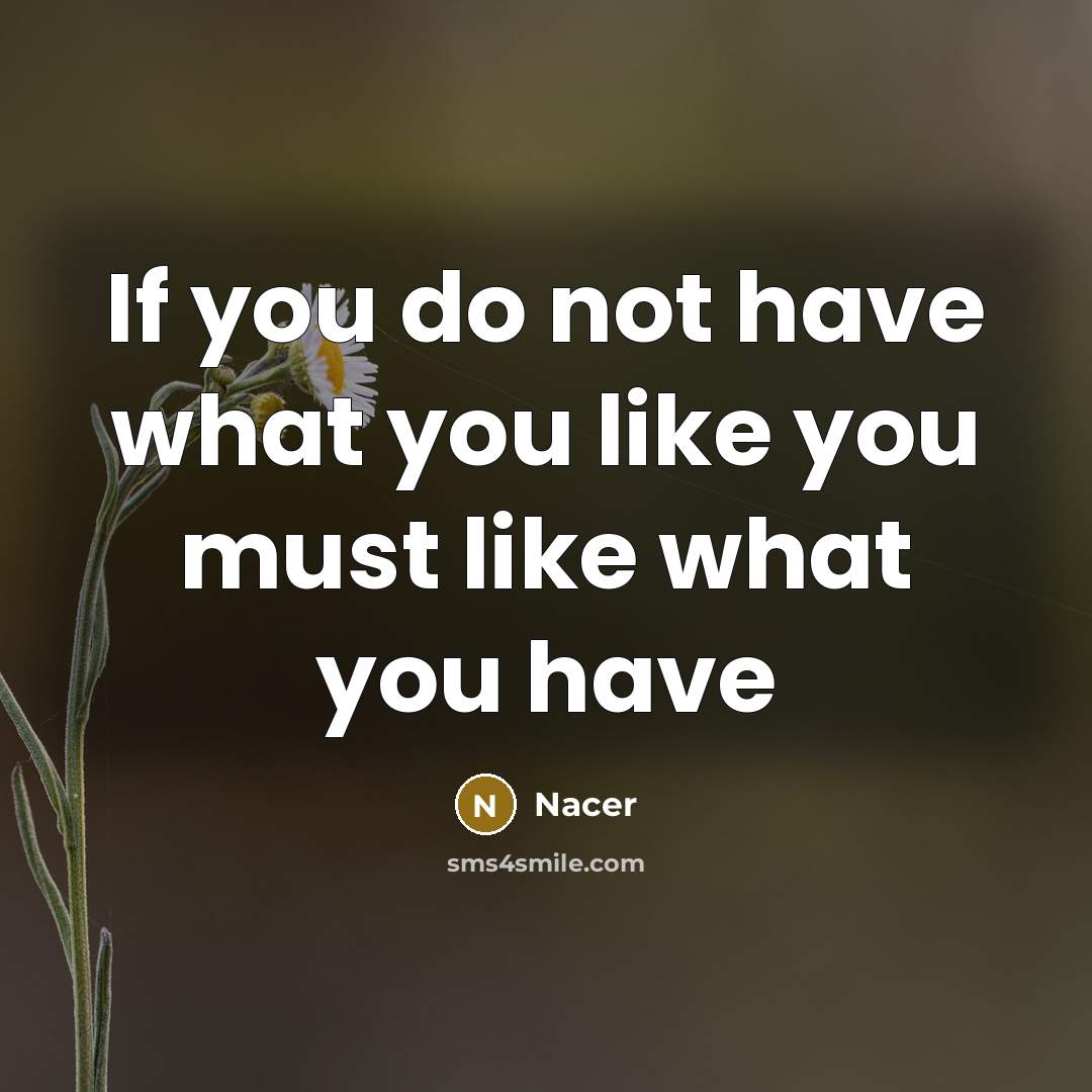 “If you do not have what you like you must…” quote by Nacer