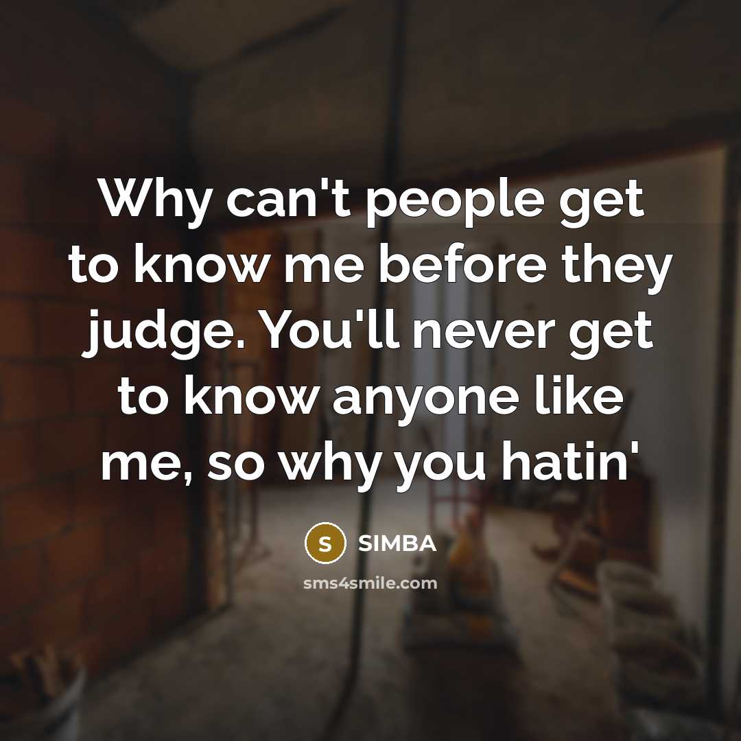 “Why can't people get to know me before they judge. You'll never get to know anyone like me, so why you hatin'” quote by Simba