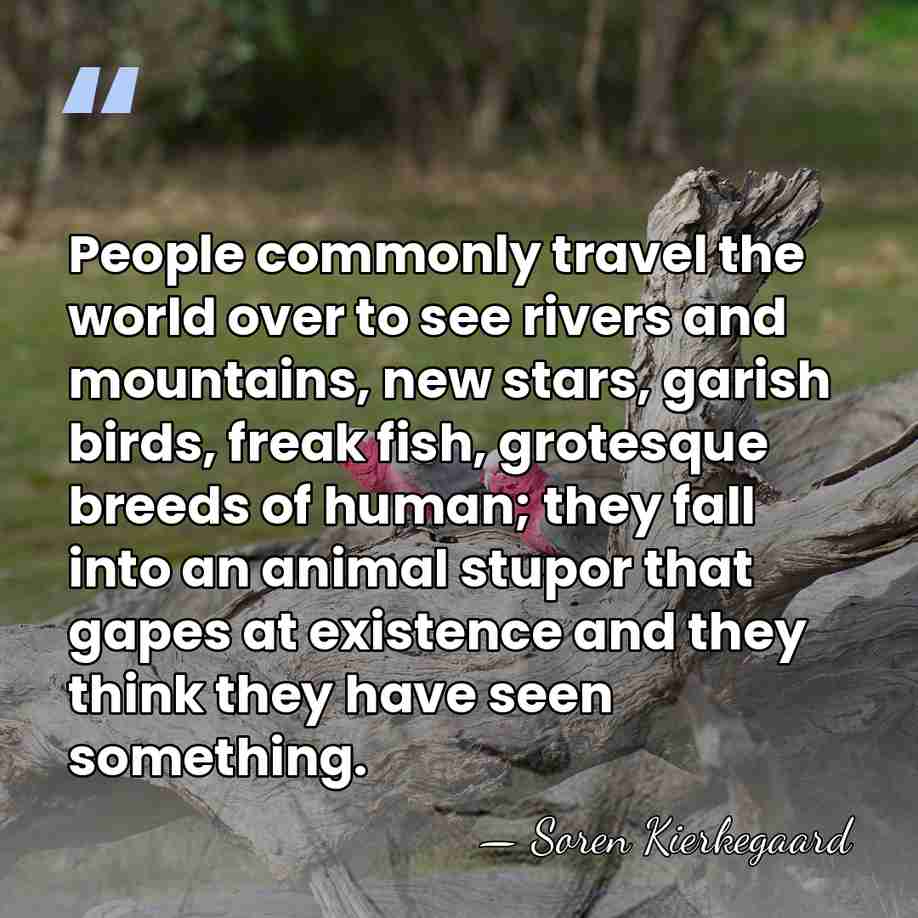 People commonly travel the world over to see rivers and mountains, new&hellip; - Soren Kierkegaard