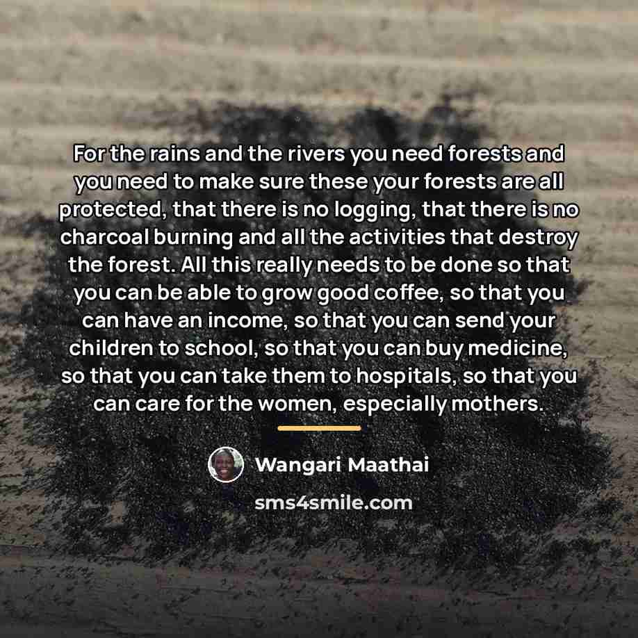 “For the rains and the rivers you need forests and…” quote by Wangari Maathai
