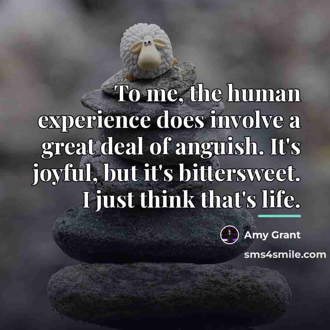“To me, the human experience does involve a great deal…” quote by Amy Grant