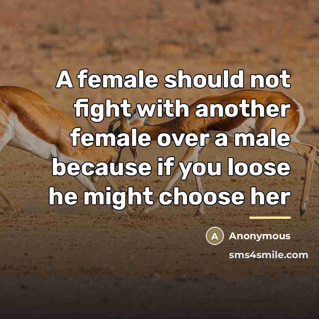 “A female should not fight with another female over a…” quote by Anonymous