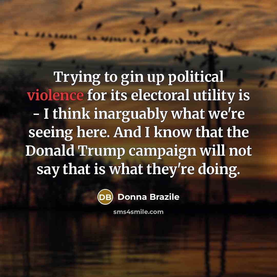 “Trying to gin up political violence for its electoral utility…” quote by Donna Brazile