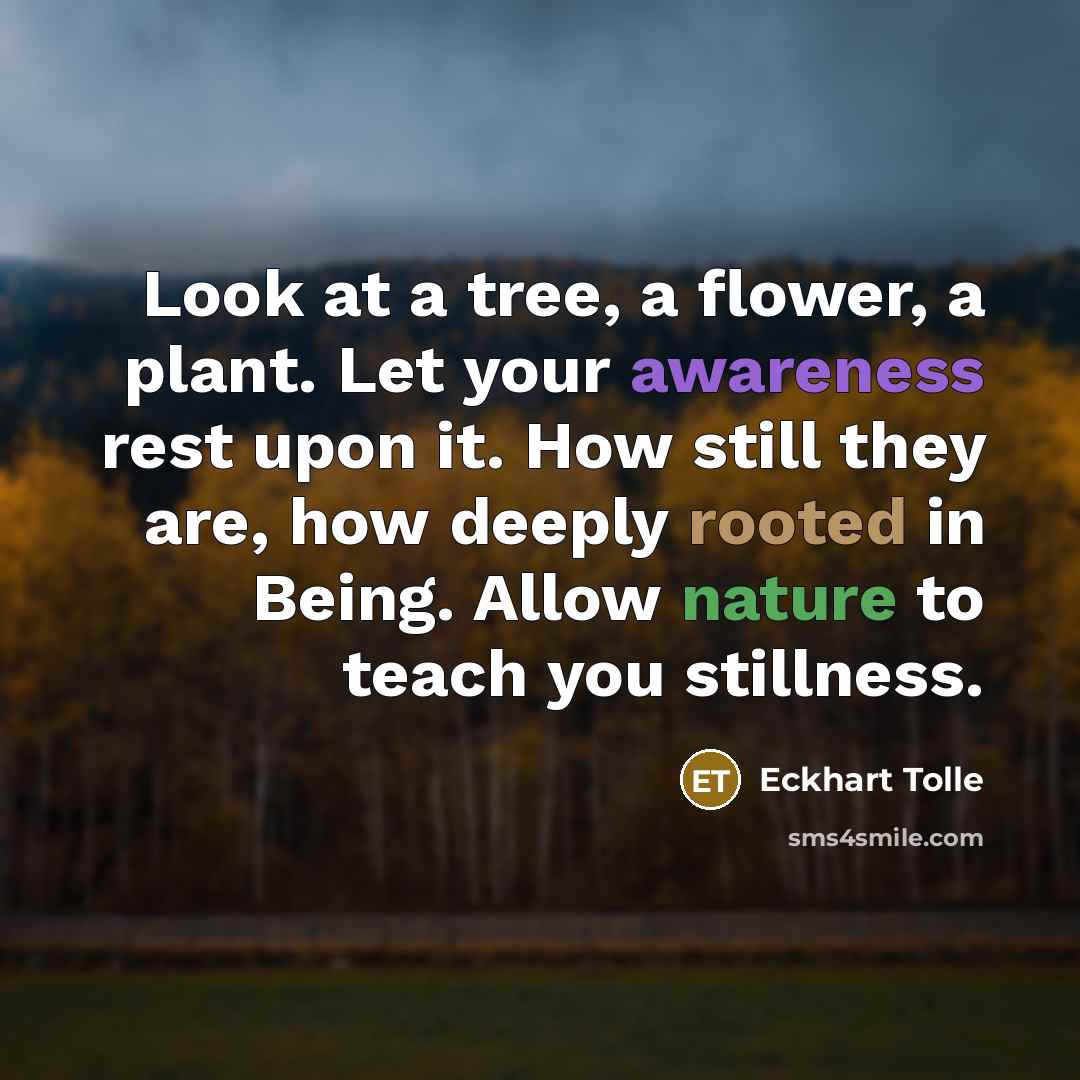 “Look at a tree, a flower, a plant. Let your…” quote by Eckhart Tolle