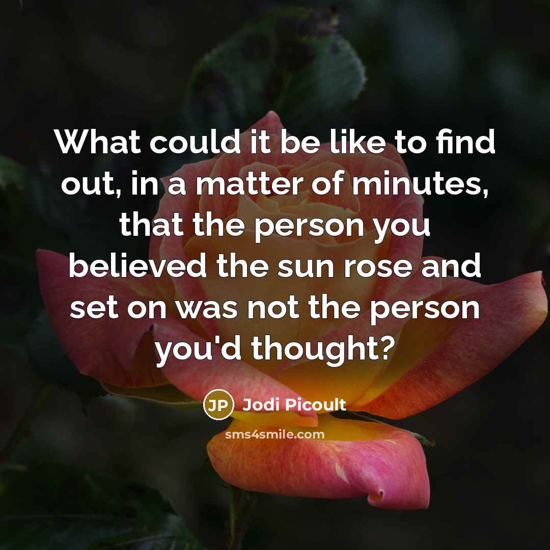 “What could it be like to find out, in a…” quote by Jodi Picoult