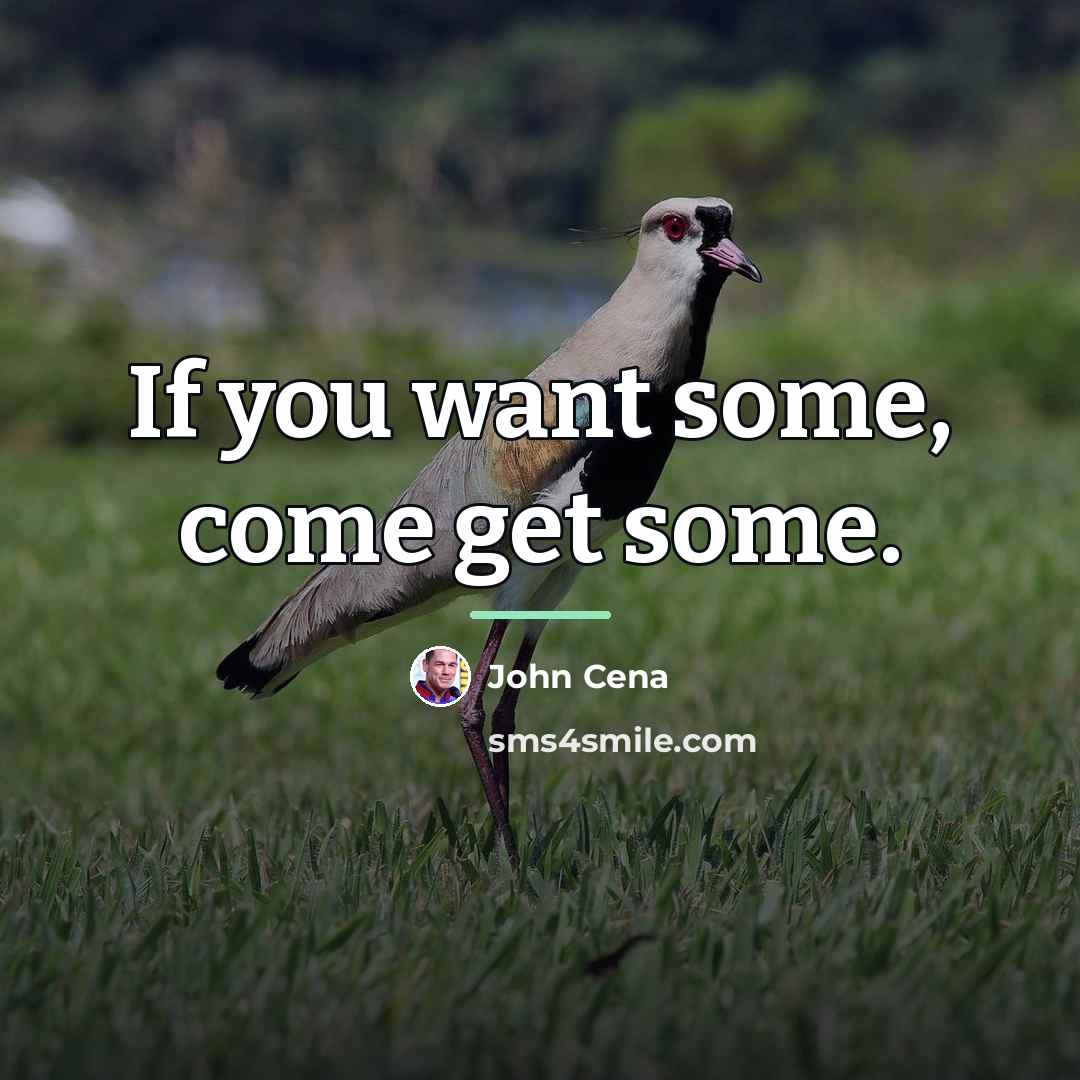 “If you want some, come get some.…” quote by John Cena