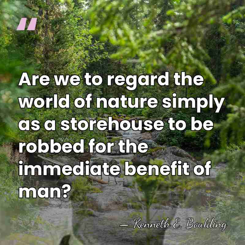 Are we to regard the world of nature simply as a storehouse&hellip; - Kenneth E. Boulding