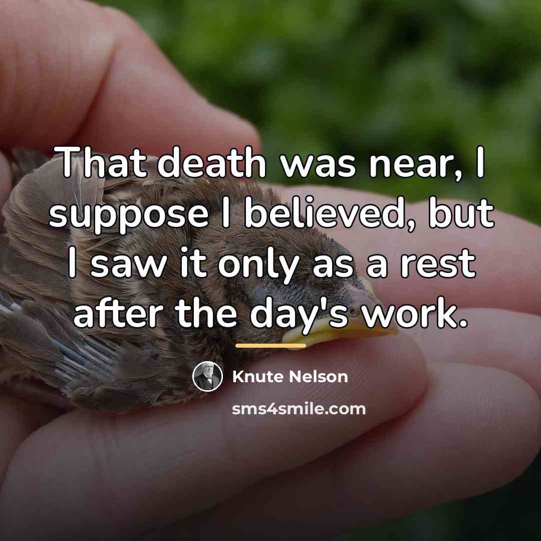 “That death was near, I suppose I believed, but I…” quote by Knute Nelson