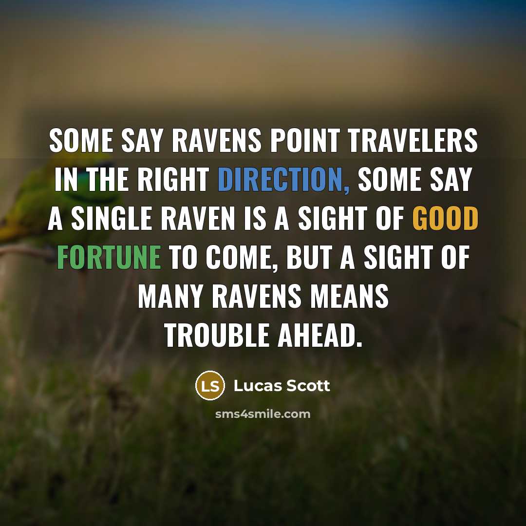 “Some say ravens point travelers in the right direction, some say a single raven is a sight of good fortune to come, but a sight of many ravens means trouble ahead.” quote by Lucas Scott