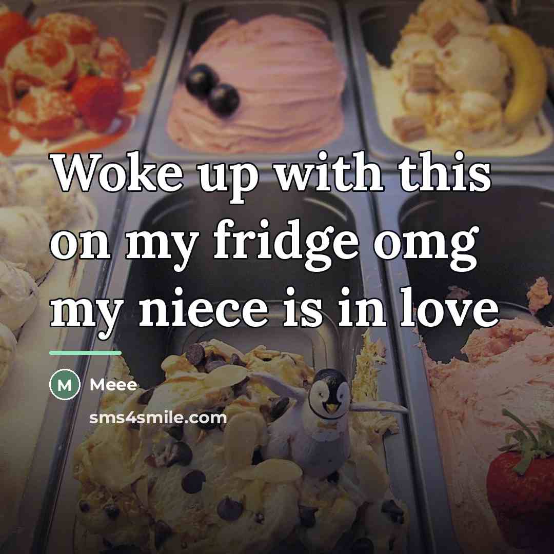 “Woke up with this on my fridge omg my niece…” quote by Meee