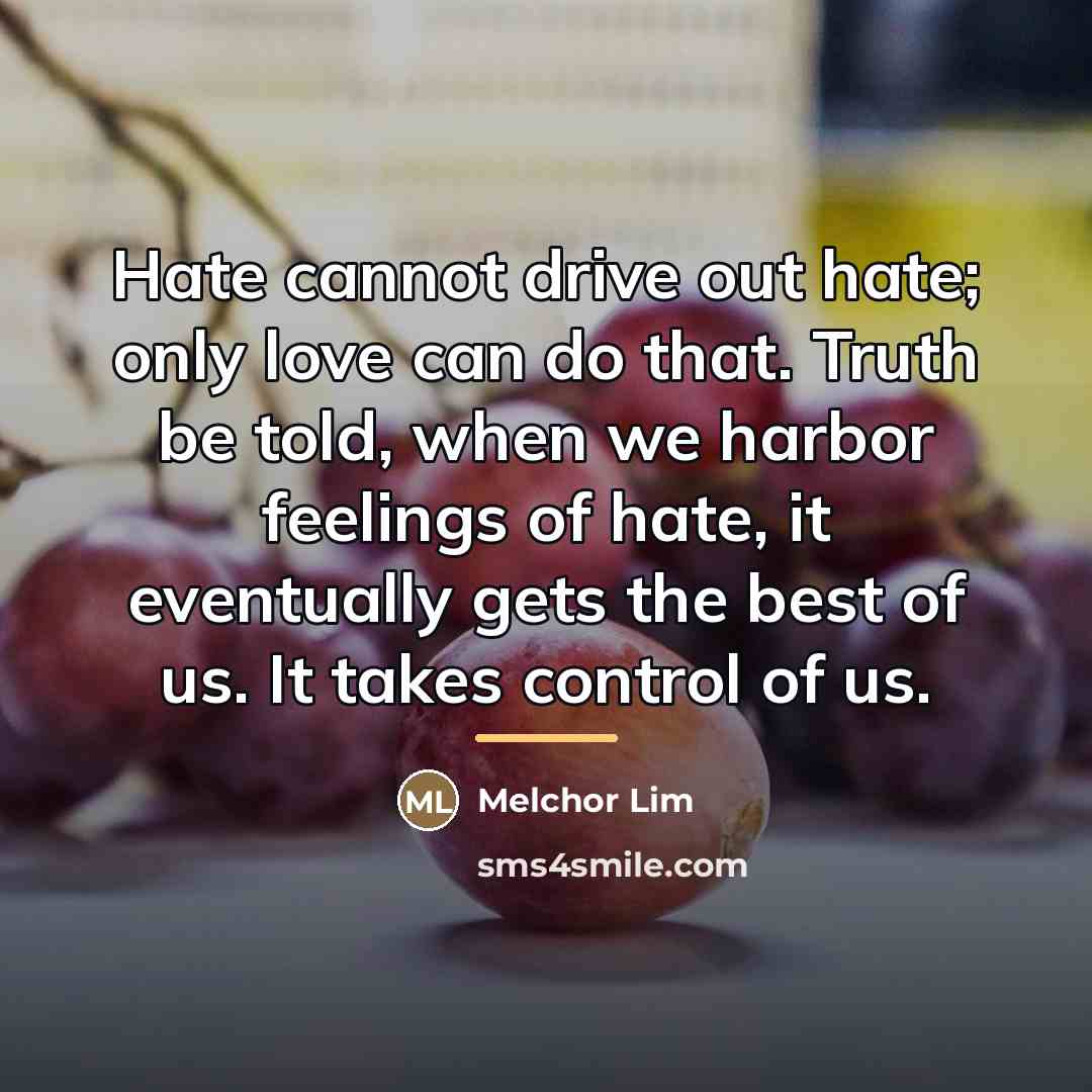 “Hate cannot drive out hate; only love can do that.…” quote by Melchor Lim
