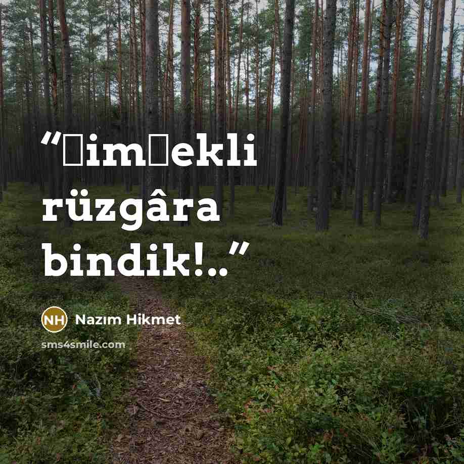“Şimşekli rüzgâra bindik!..” quote by Nâzım Hikmet