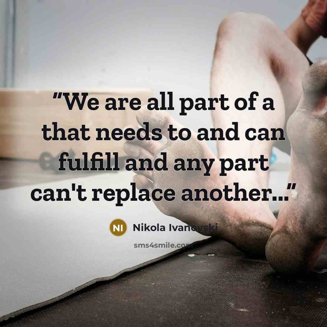 “We are all part of a that needs to and can fulfill and any part can't replace another...” quote by Nikola Ivanovski