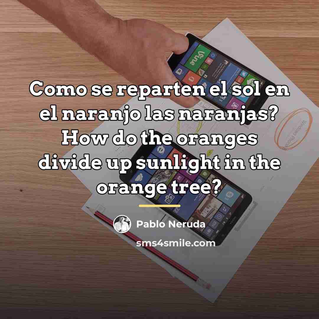 “Como se reparten el sol en el naranjo las naranjas?…” quote by Pablo Neruda
