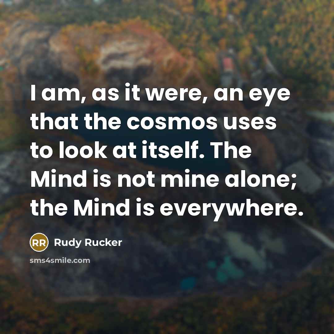 “I am, as it were, an eye that the cosmos…” quote by Rudy Rucker
