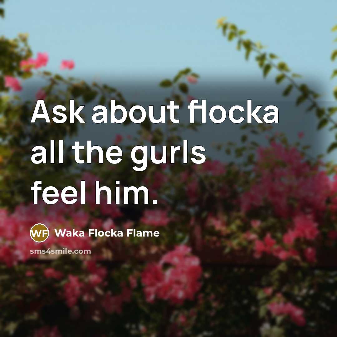 “Ask about flocka all the gurls feel him.” quote by Waka Flocka Flame