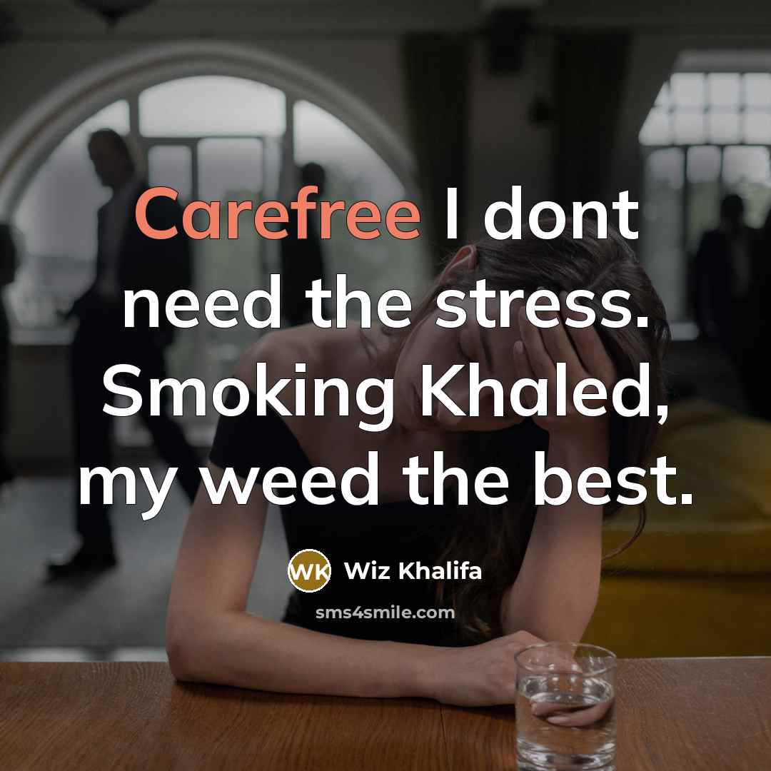 “Carefree I dont need the stress. Smoking Khaled, my weed…” quote by Wiz Khalifa