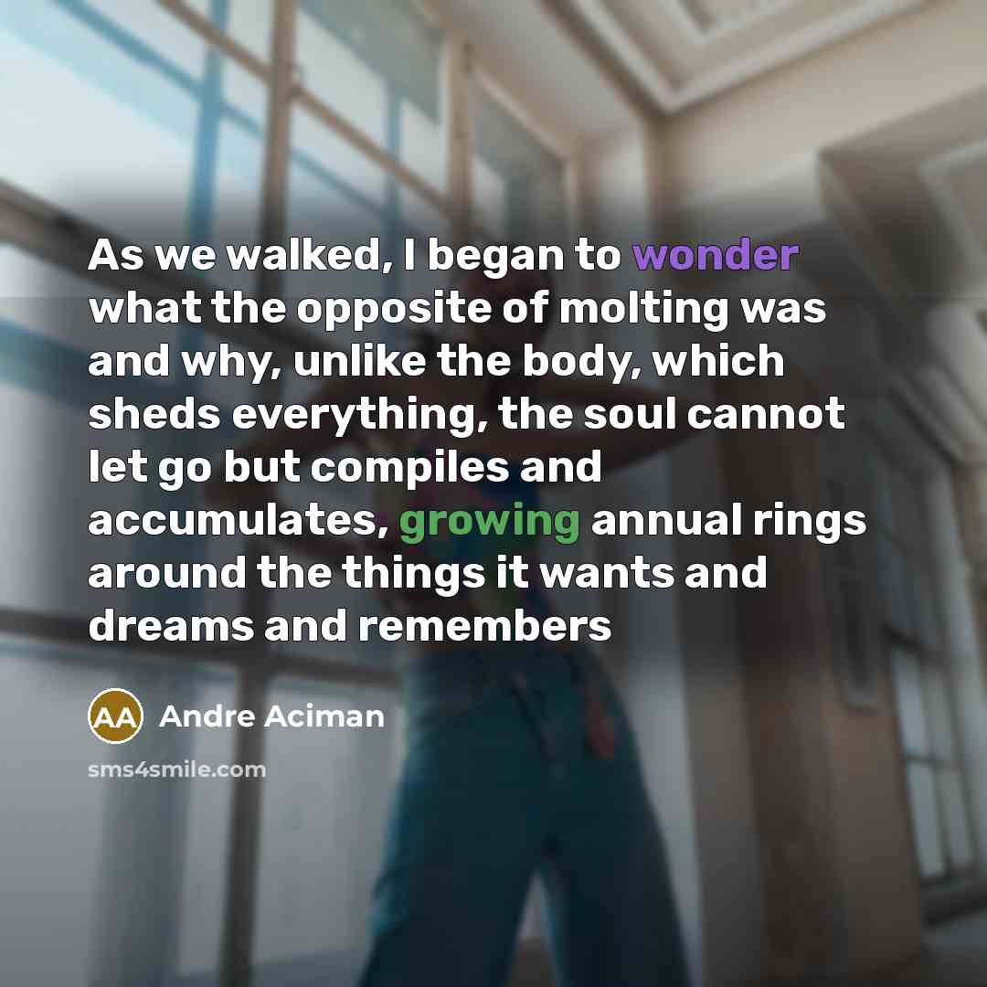 “As we walked, I began to wonder what the opposite…” quote by André Aciman