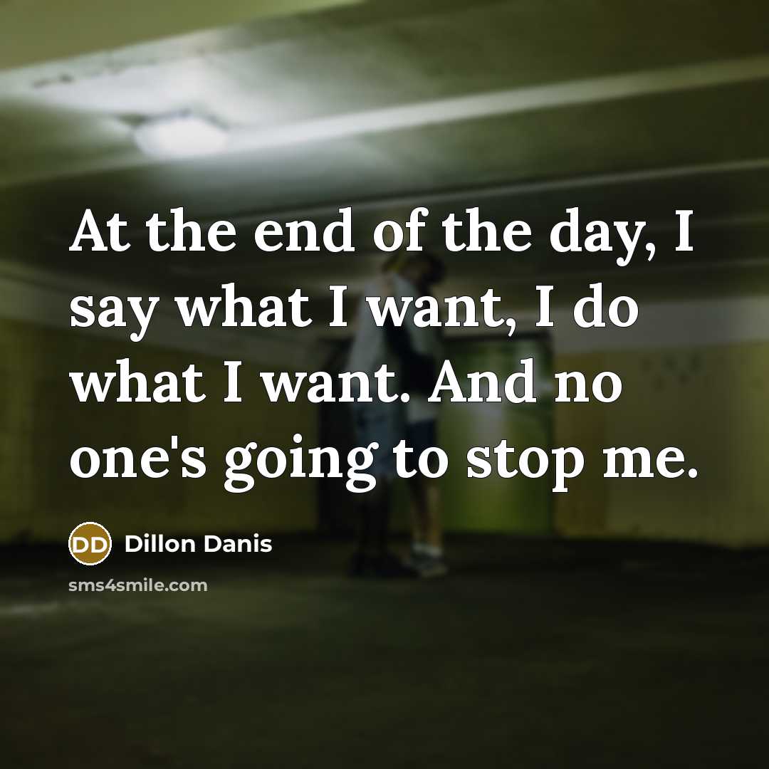 “At the end of the day, I say what I…” quote by Dillon Danis