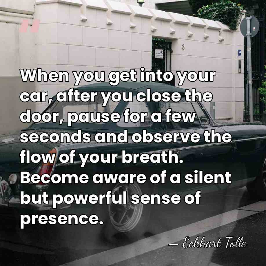 When you get into your car, after you close the door, pause&hellip; - Eckhart Tolle
