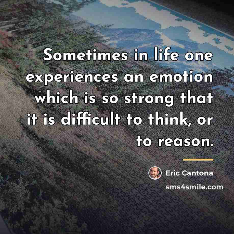 “Sometimes in life one experiences an emotion which is so…” quote by Eric Cantona