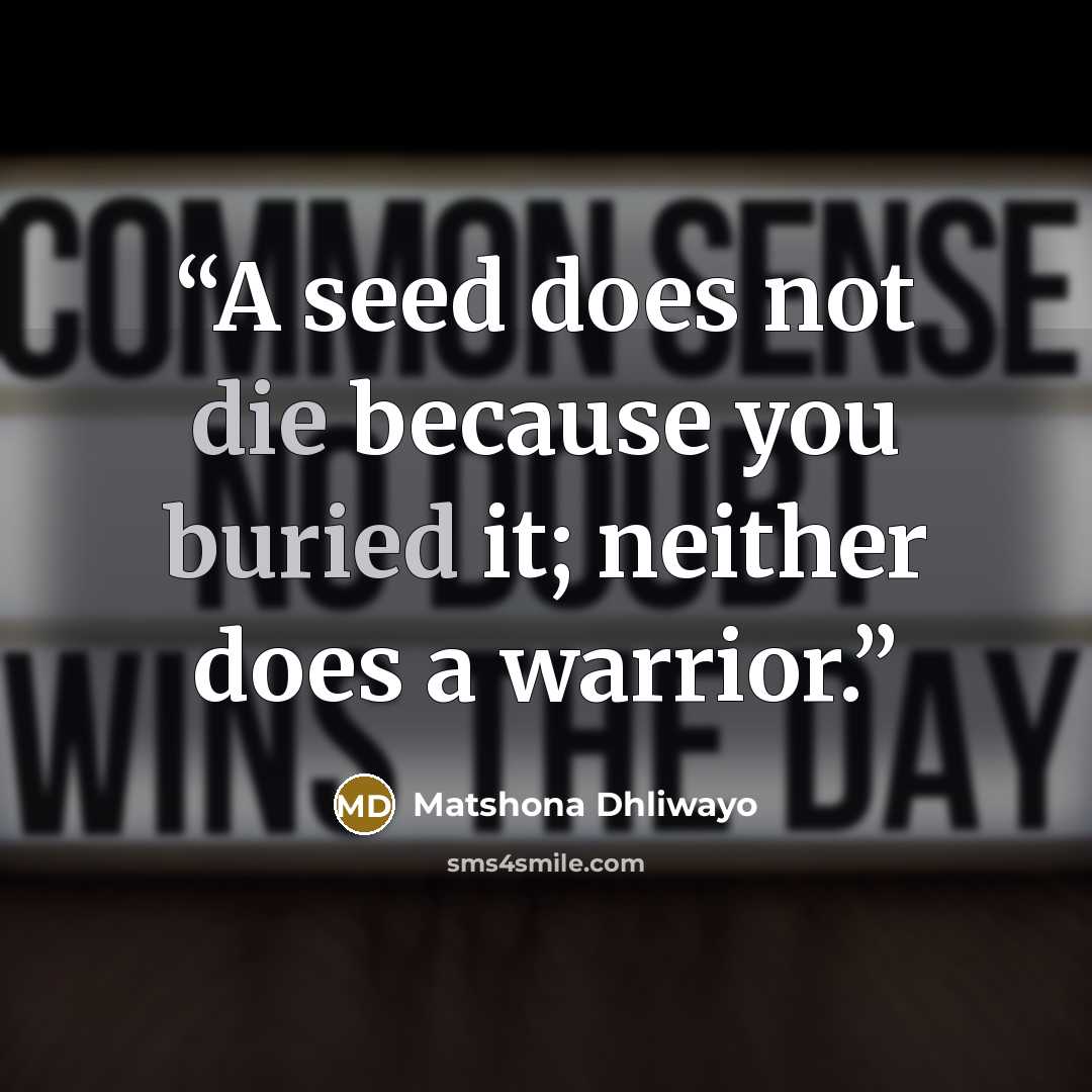 “A seed does not die because you buried it; neither does a warrior.” quote by Matshona Dhliwayo