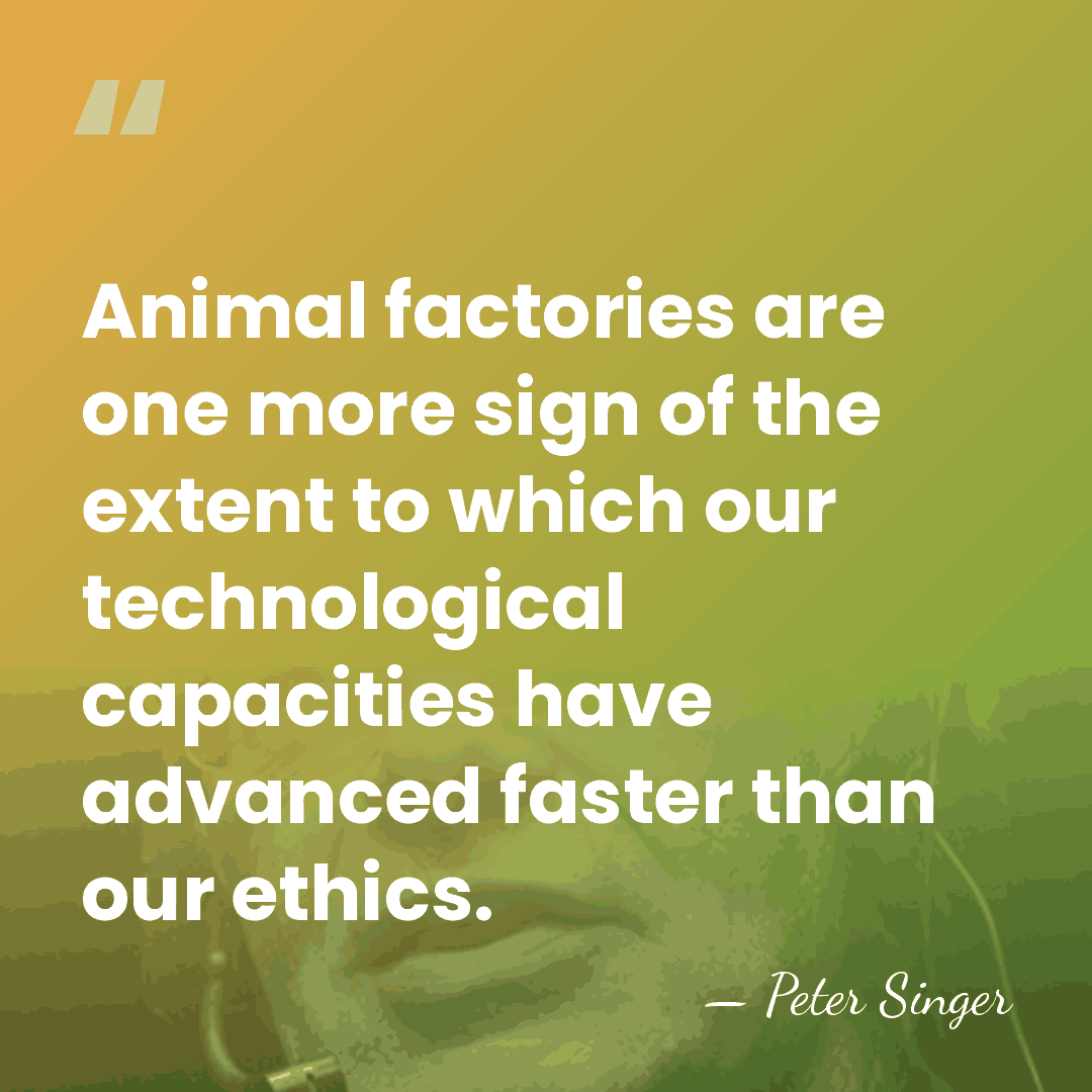 Animal factories are one more sign of the extent to which our&hellip; - Peter Singer