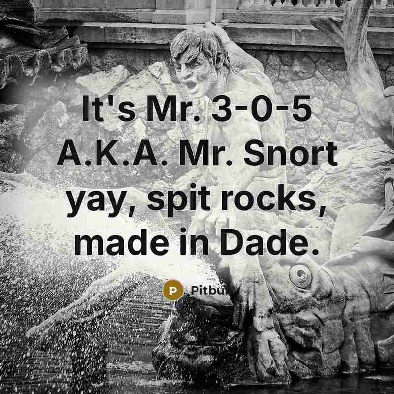 “It's Mr. 3-0-5 A.K.A. Mr. Snort yay, spit rocks, made…” quote by Pitbull