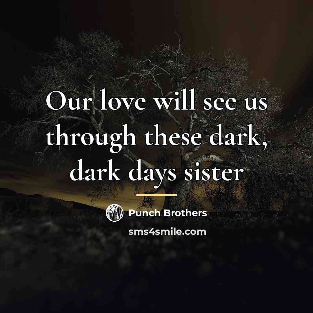 “Our love will see us through these dark, dark days…” quote by Punch Brothers