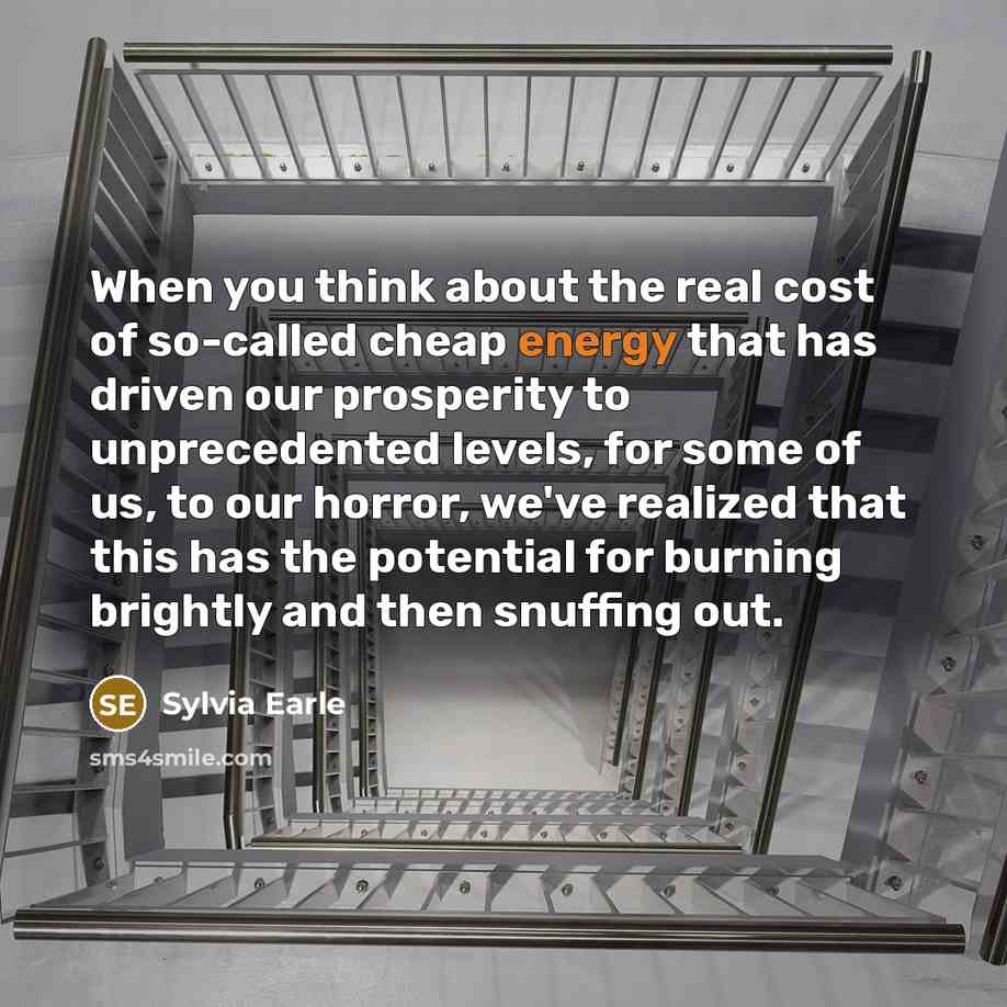“When you think about the real cost of so-called cheap…” quote by Sylvia Earle
