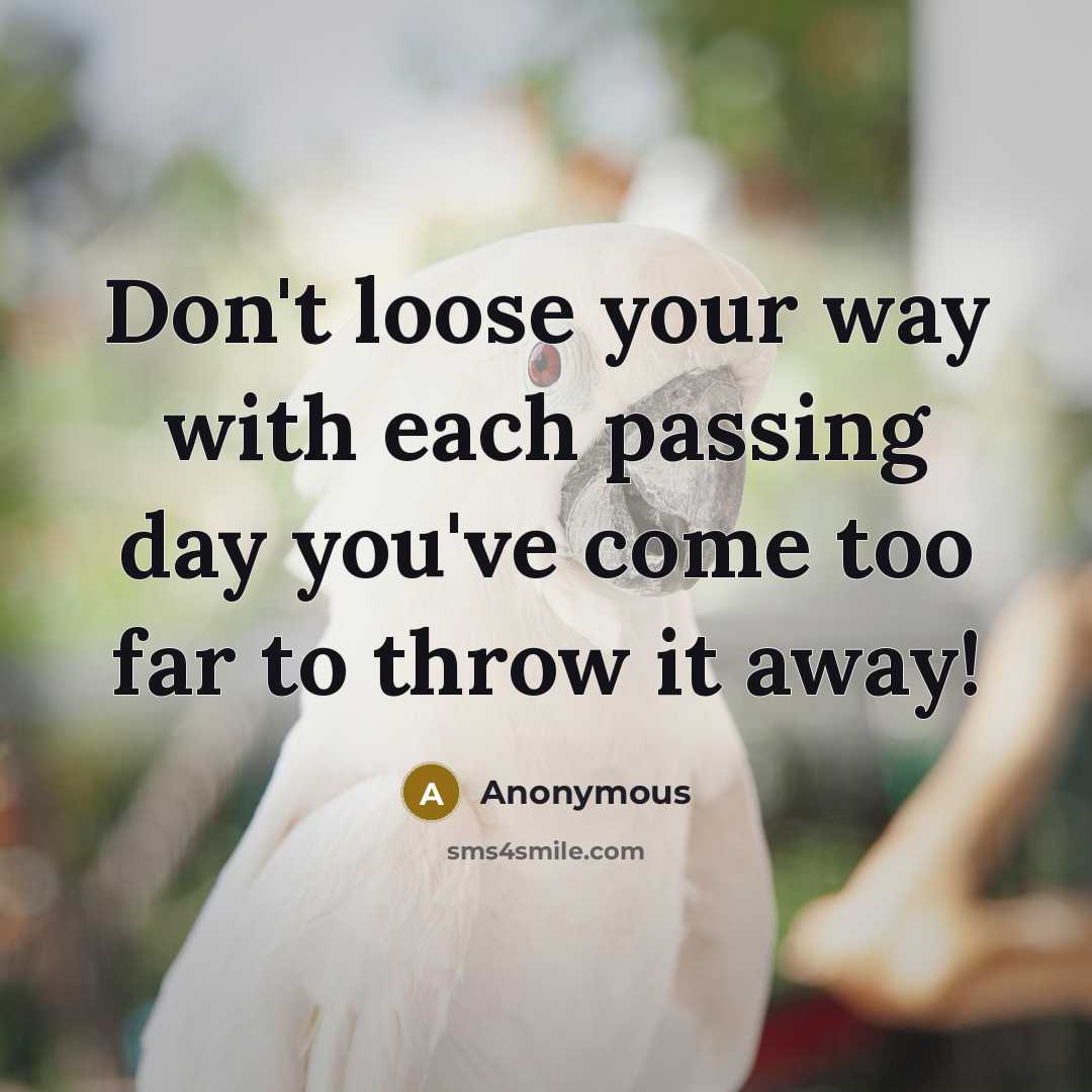 “Don't loose your way with each passing day you've come…” quote by Anonymous