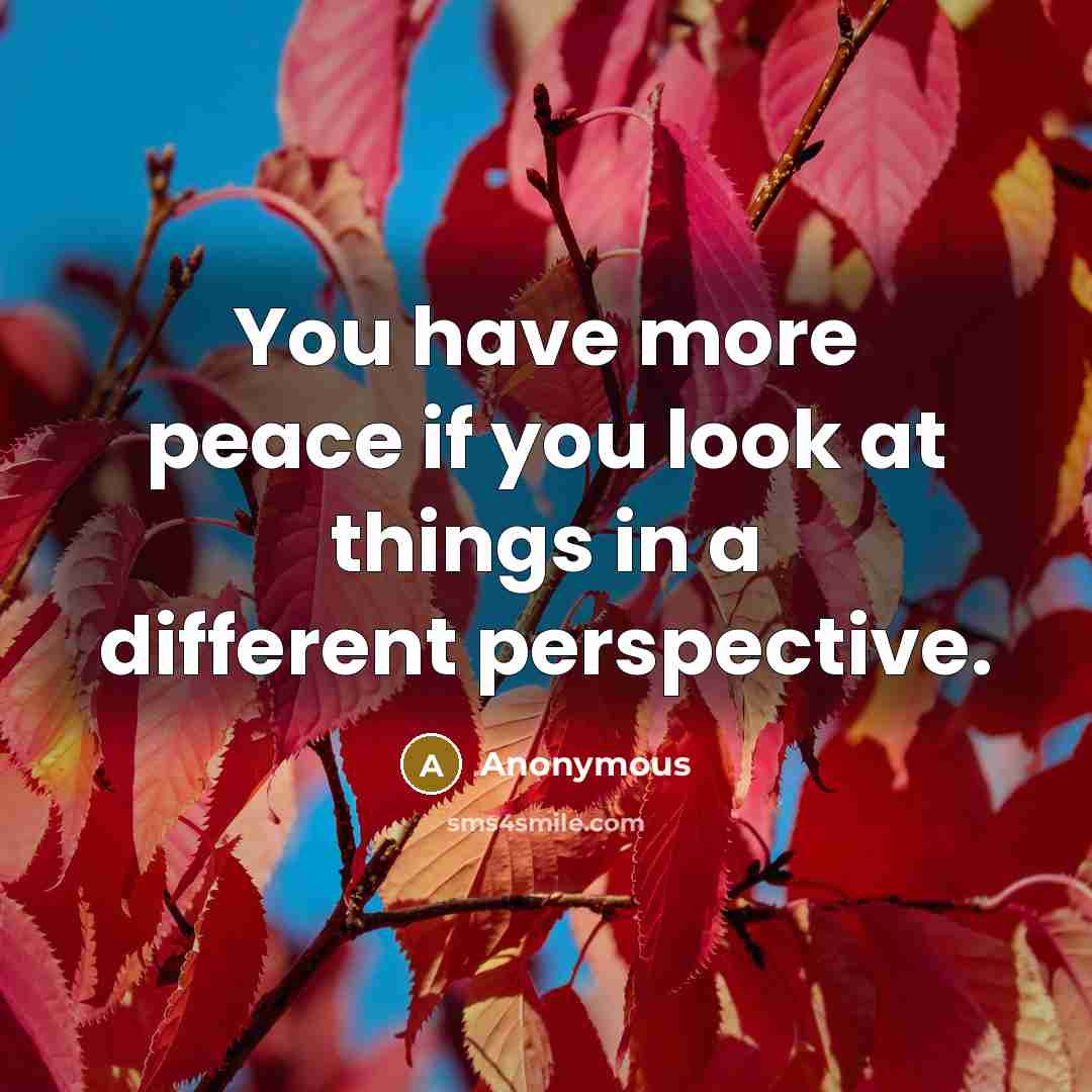 “You have more peace if you look at things in…” quote by Anonymous