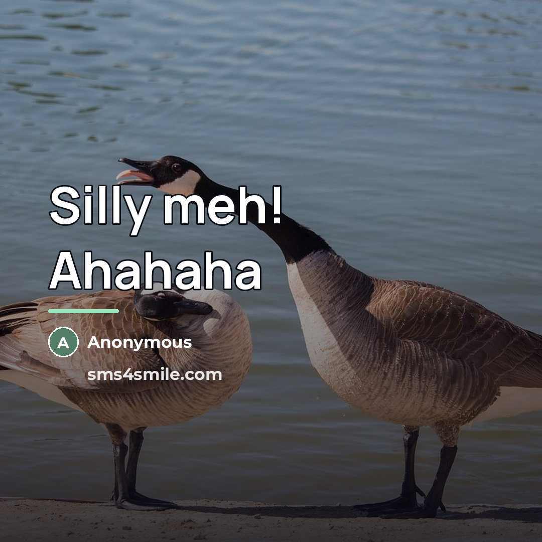 “Silly meh! Ahahaha…” quote by Anonymous