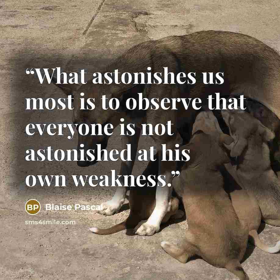 “What astonishes us most is to observe that everyone is not astonished at his own weakness.” quote by Blaise Pascal