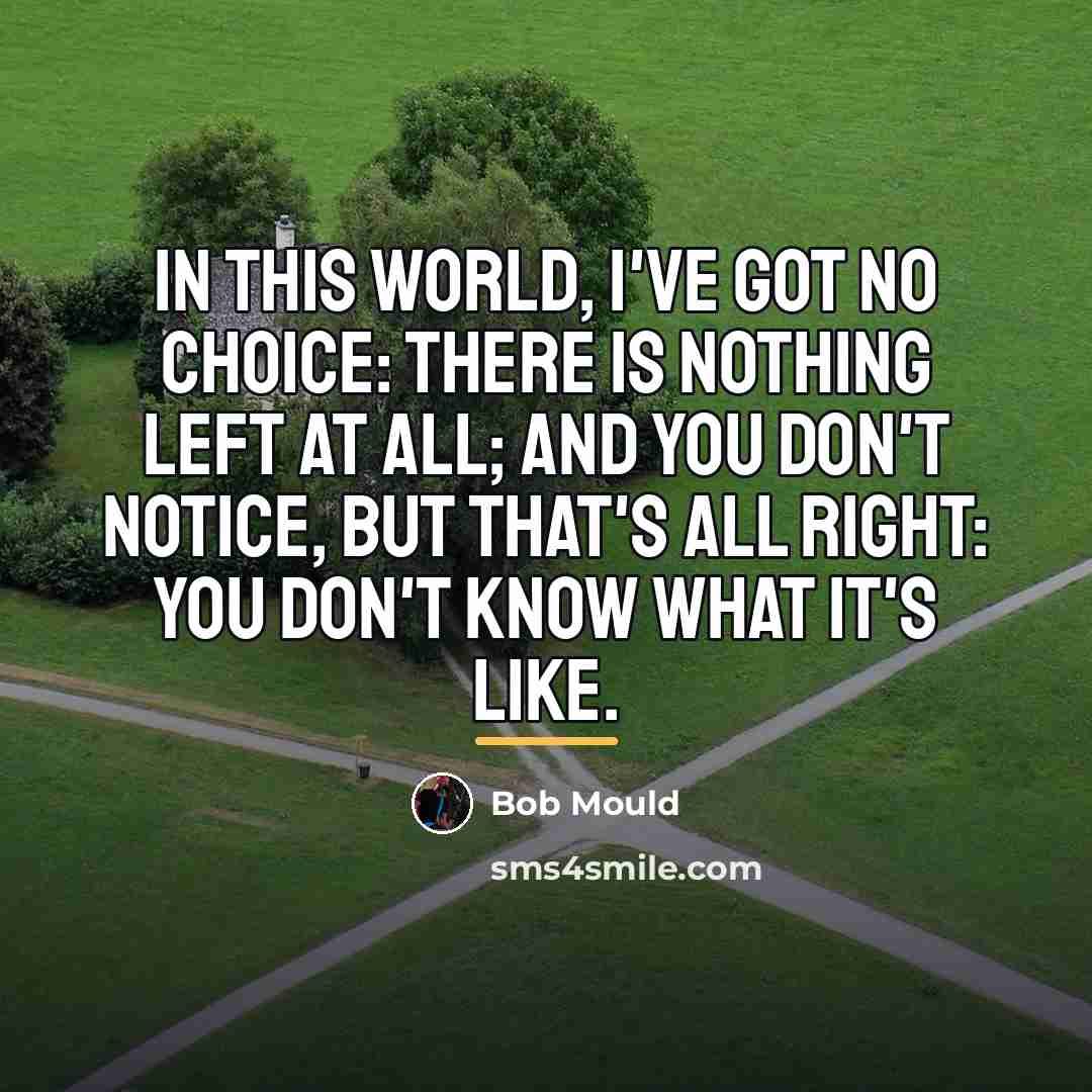 “In this world, I've got no choice: there is nothing…” quote by Bob Mould