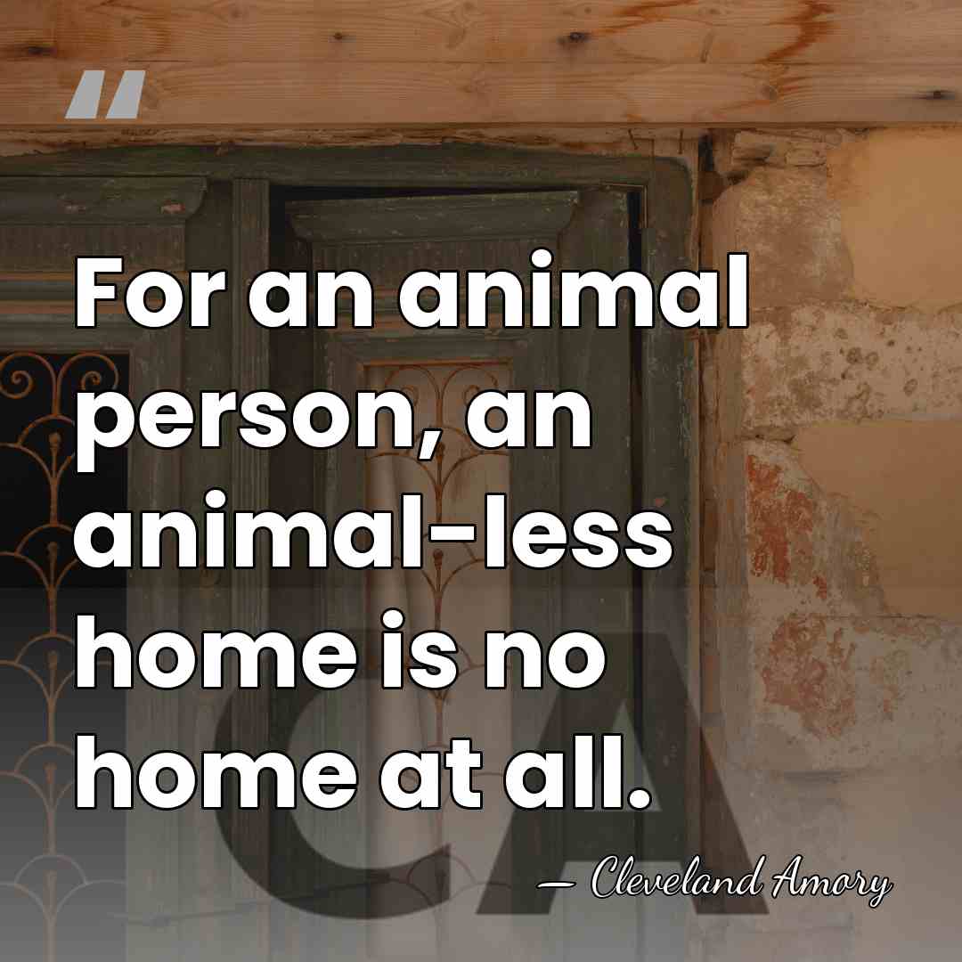 For an animal person, an animal-less home is no home at all. - Cleveland Amory