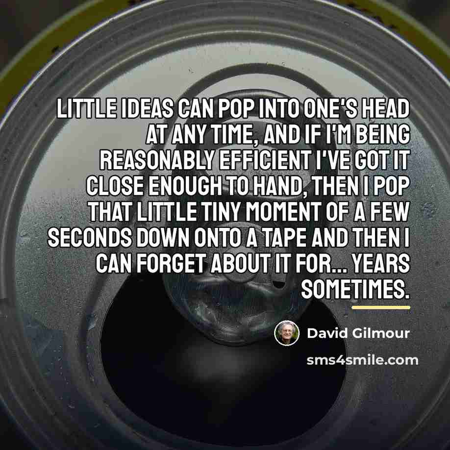 “Little ideas can pop into one's head at any time,…” quote by David Gilmour