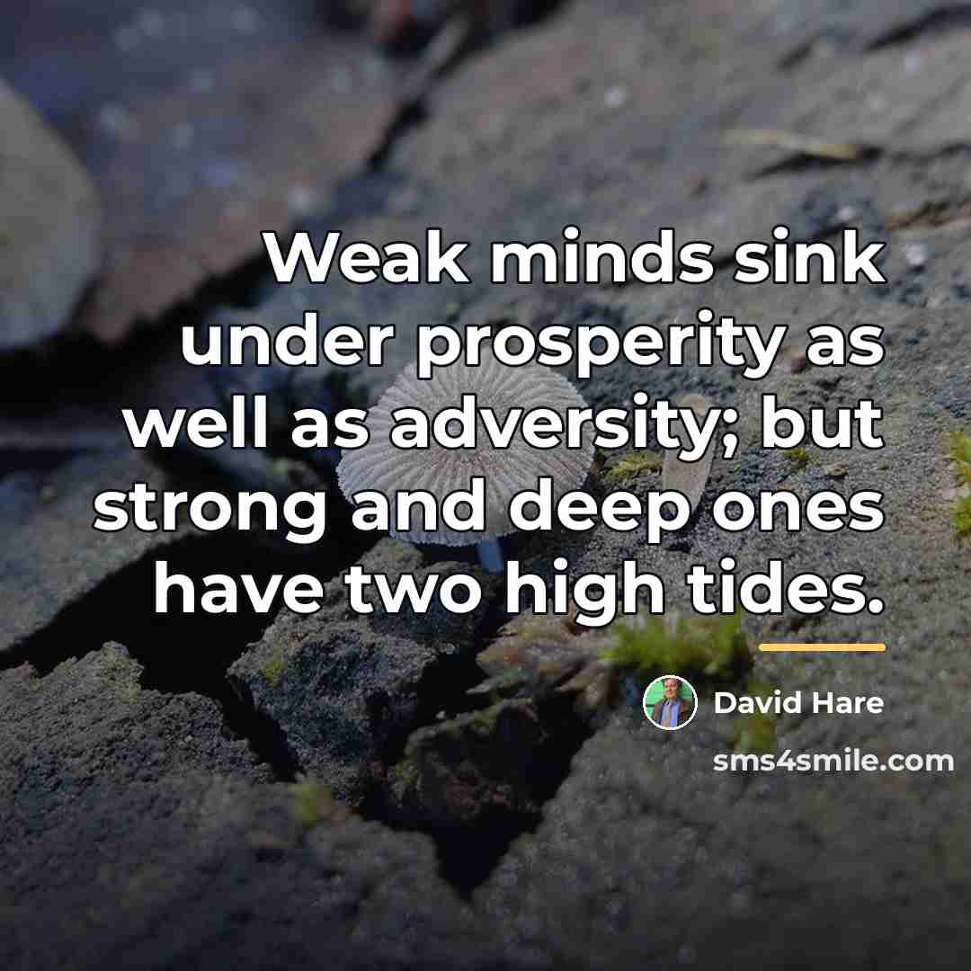“Weak minds sink under prosperity as well as adversity; but…” quote by David Hare