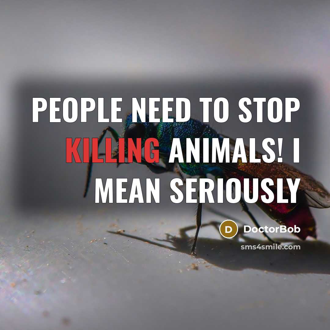 “People need to stop killing animals! I mean seriously” quote by DoctorBob