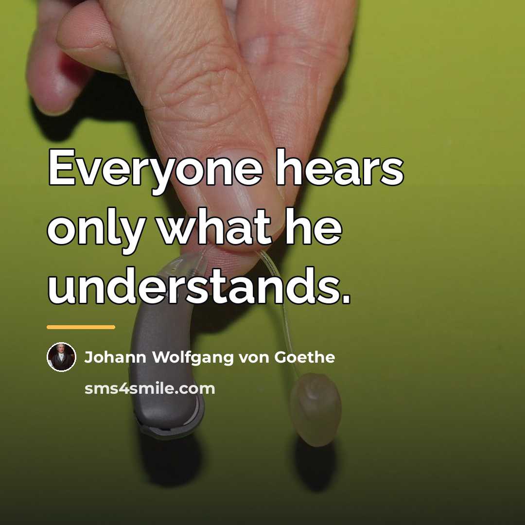 “Everyone hears only what he understands.…” quote by Johann Wolfgang Von Goethe