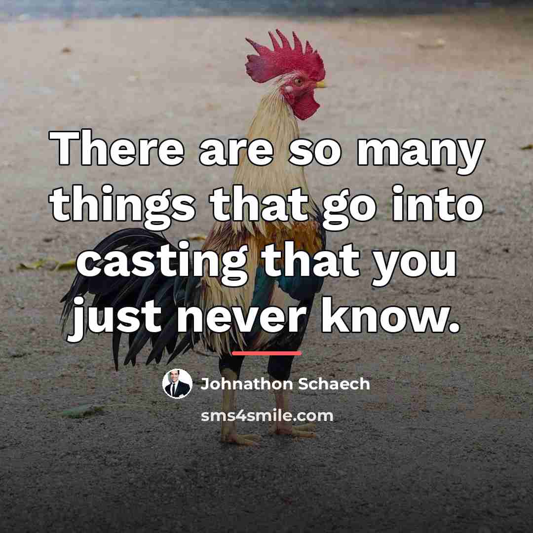 “There are so many things that go into casting that…” quote by Johnathon Schaech