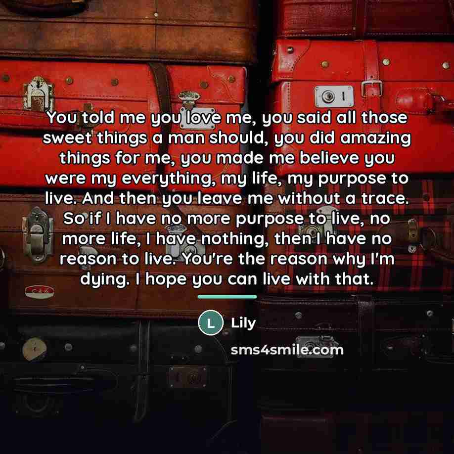 “You told me you love me, you said all those…” quote by Lily