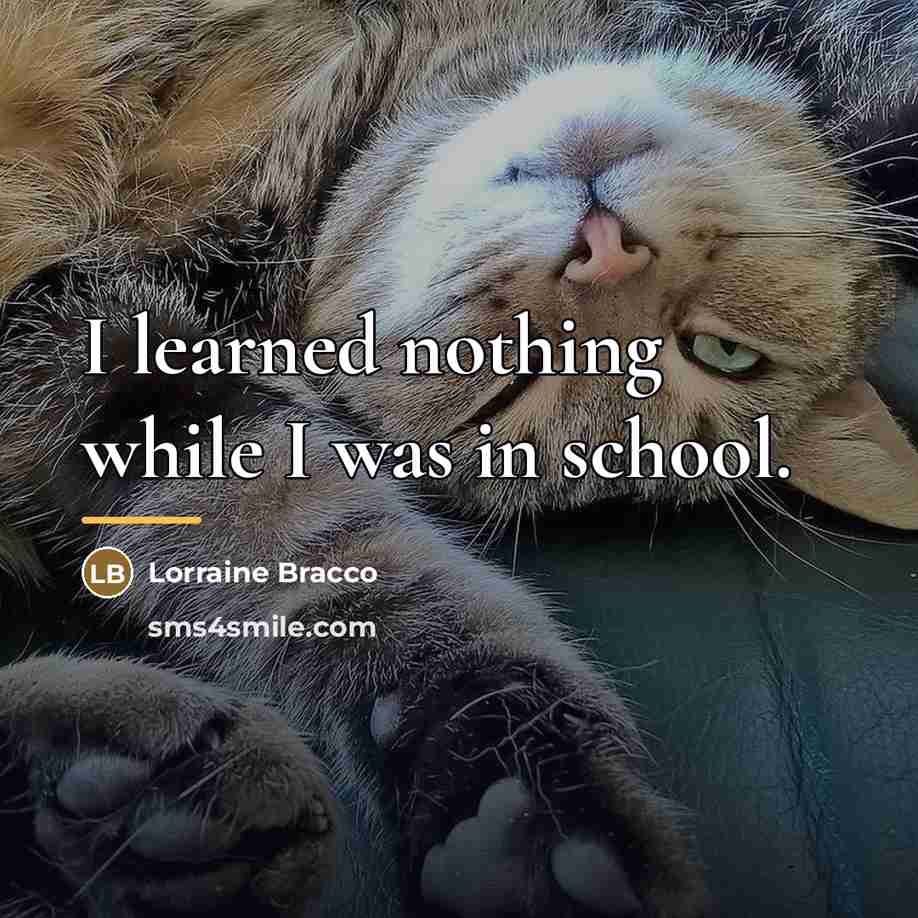 “I learned nothing while I was in school.…” quote by Lorraine Bracco
