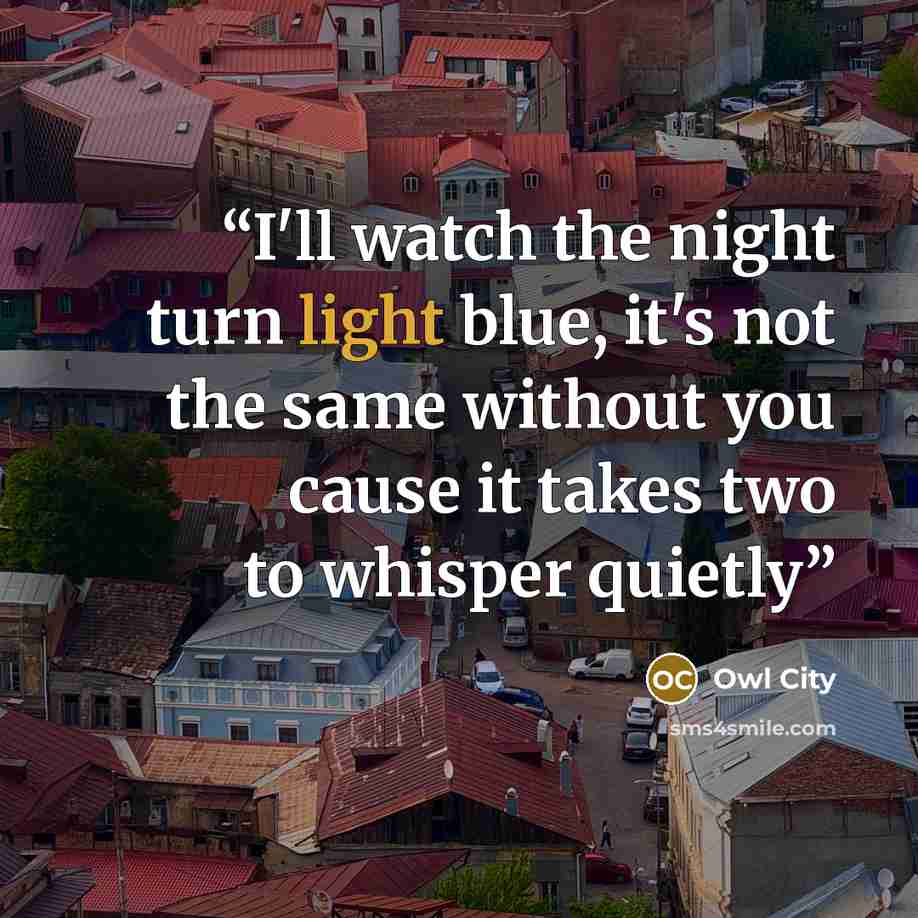 “I'll watch the night turn light blue, it's not the same without you cause it takes two to whisper quietly” quote by Owl City