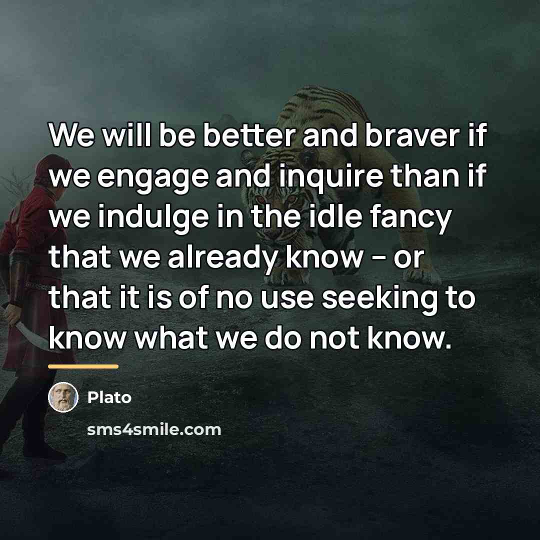 “We will be better and braver if we engage and…” quote by Plato
