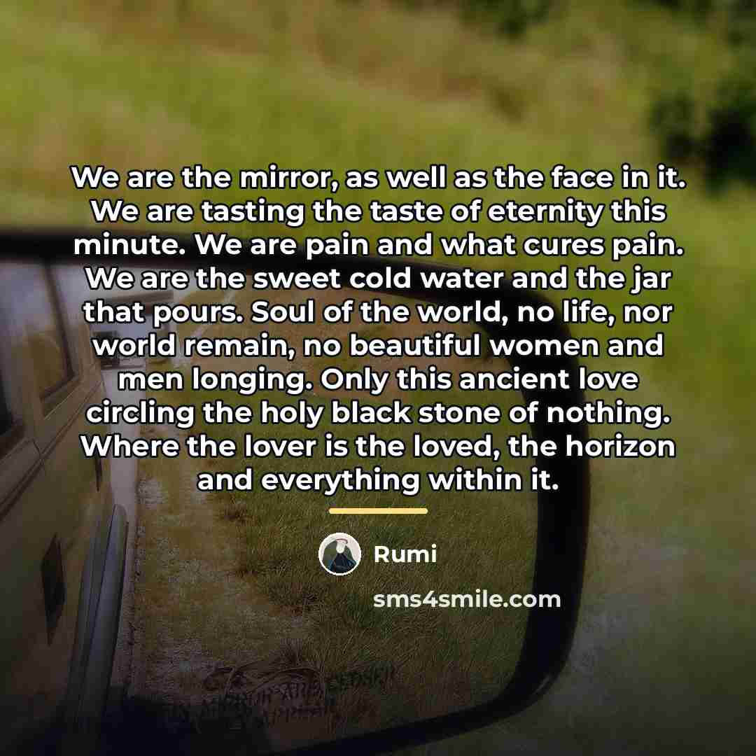 “We are the mirror, as well as the face in…” quote by Rumi