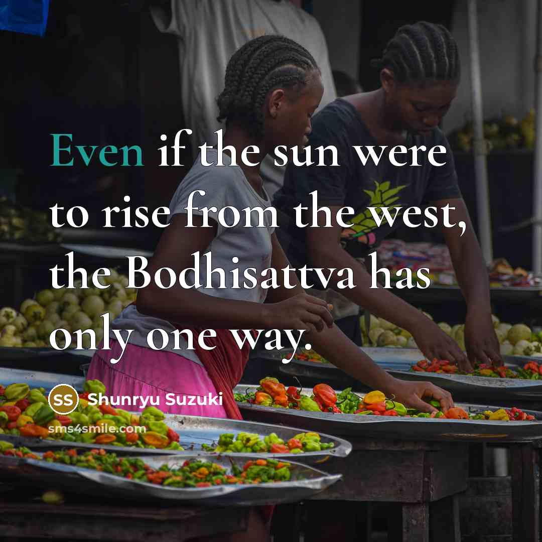 “Even if the sun were to rise from the west,…” quote by Shunryu Suzuki