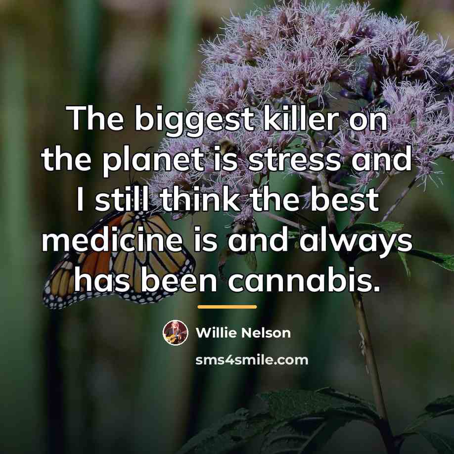 “The biggest killer on the planet is stress and I…” quote by Willie Nelson