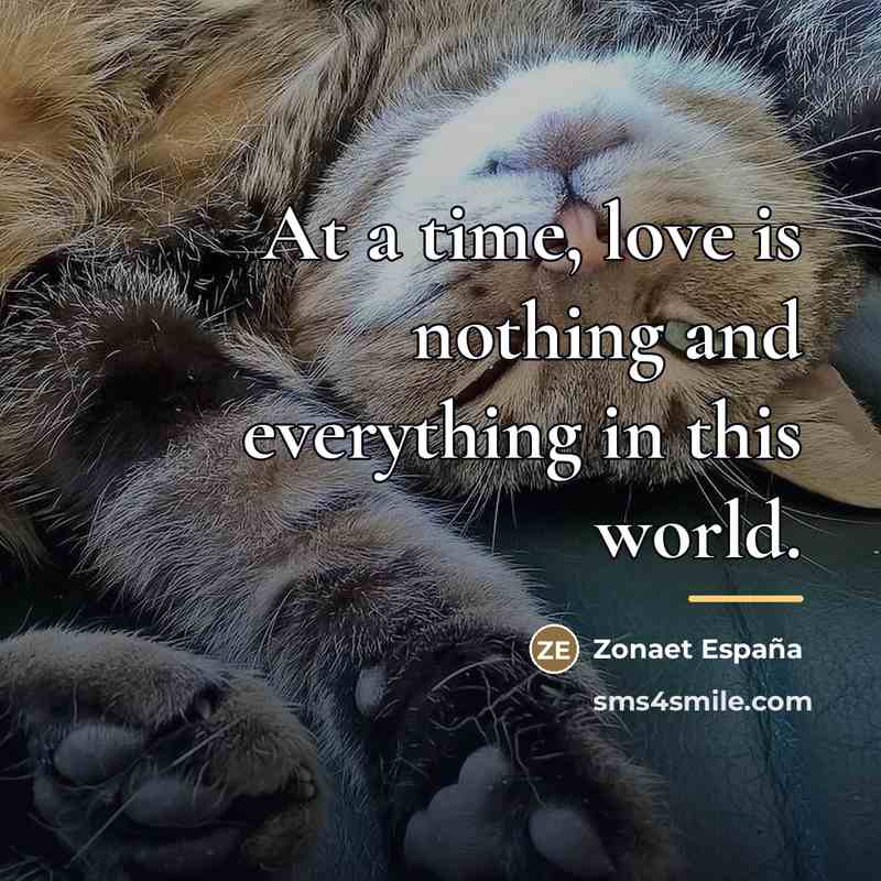 “At a time, love is nothing and everything in this…” quote by Zonaet España