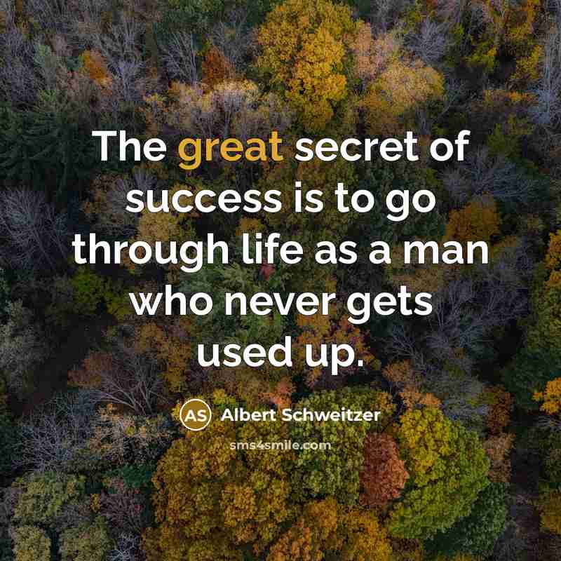 “The great secret of success is to go through life…” quote by Albert Schweitzer